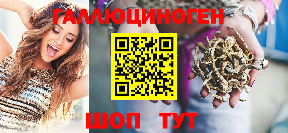 Псилоцибиновые грибы мицелий  Вход с VPN  Новочебоксарск  Псилоцибиновые грибы Cubensis 